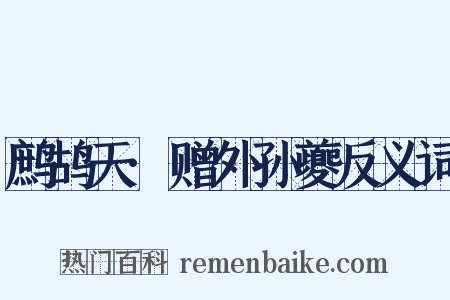 鹧鸪天·赠外孙夔反义词是什么意思的图片